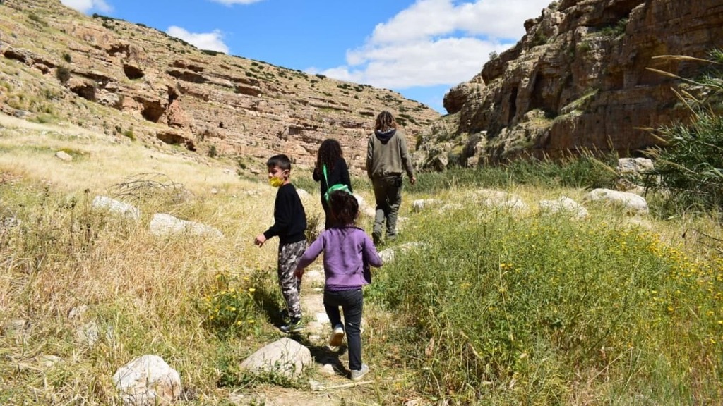 Ein Kelt Nature Reserve (Photo: Israel Nature and Parks Authority) עין קלט