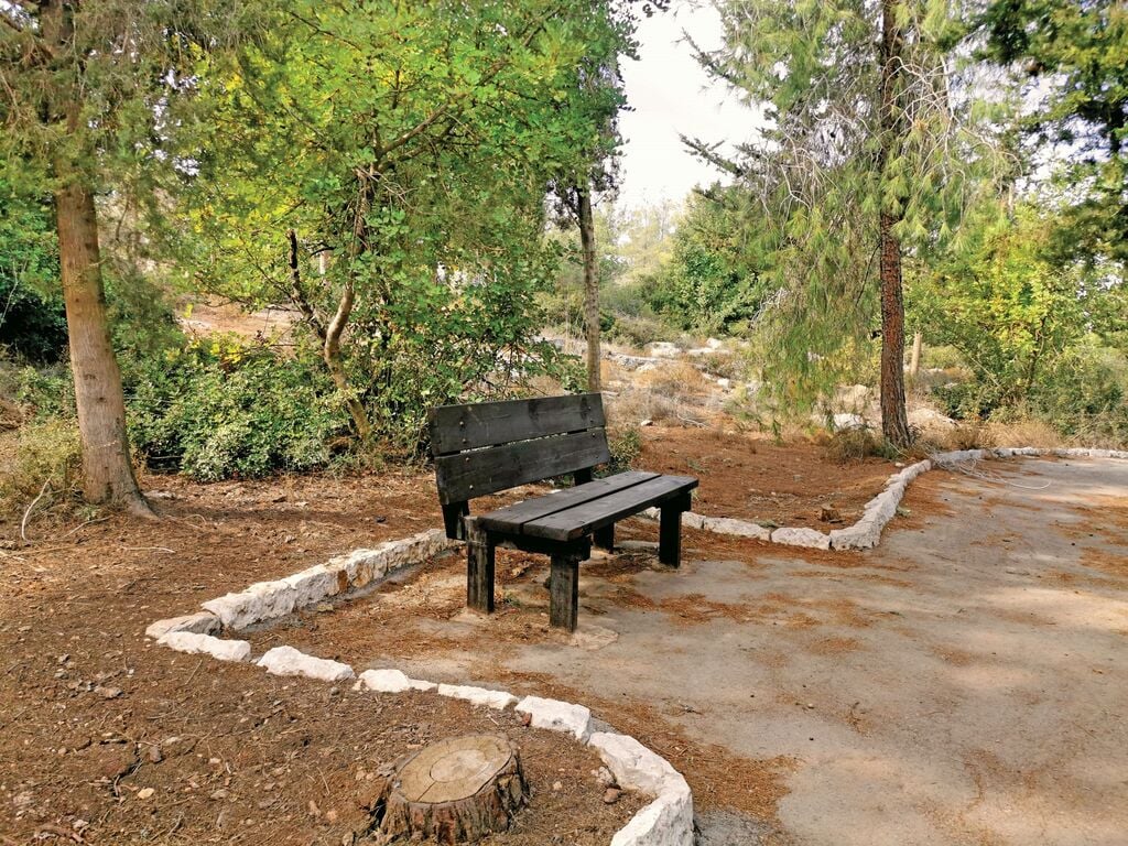 יער חרובית