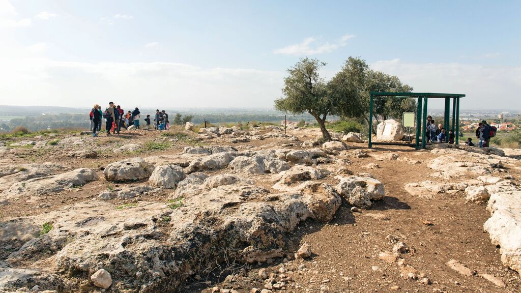היער הקהילתי בשוהם 