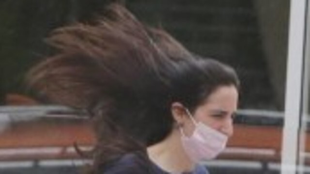 פפראצי שרונה פיק
