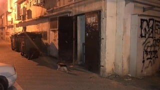 חשד: בן 12 מעורב במותו של הומלס בחולון | גופתו של אנדריי טיומקין (56) התגלתה במבנה נטוש לפני כשבועיים