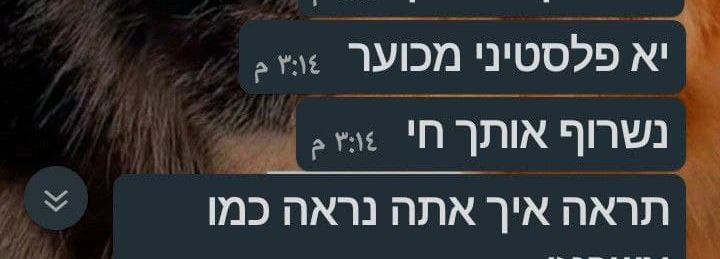 "נשרוף אותך חי". מתוך שיחת הוואטסאפ עם הנציג שיחת ווטסאפ וקללות בין נציג חברת תקשורת לבין אזרח ערבי