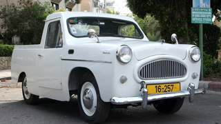 צילום: צביקה טישלר