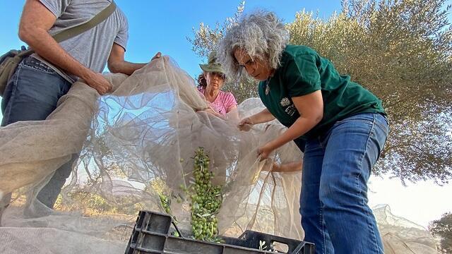 הטיפול בעצים החל כתרפיה. איילה נוי-מאיר מריש לקיש (צילום: שרית קרופקה) הטיפול בעצים החל כתרפיה. איילה נוי-מאיר מריש לקיש