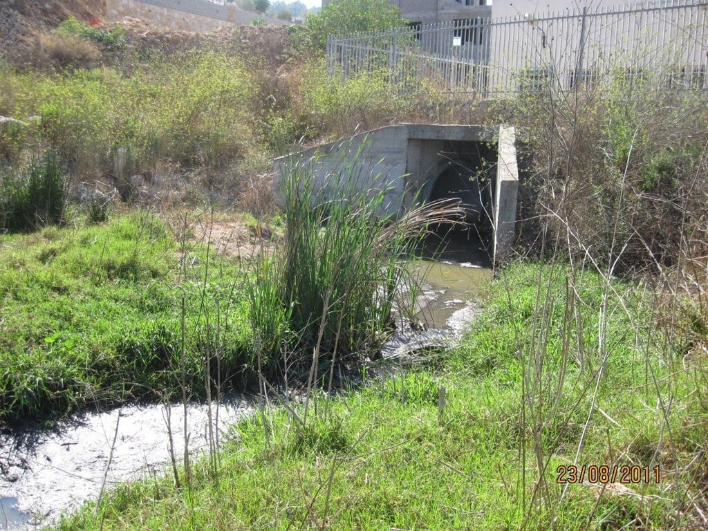 הביוב שזרם מדלית אל כרמל (צילום: ערן יגיל, המשרד להגנת הסביבה) הביוב שזרם מדלית אל כרמל