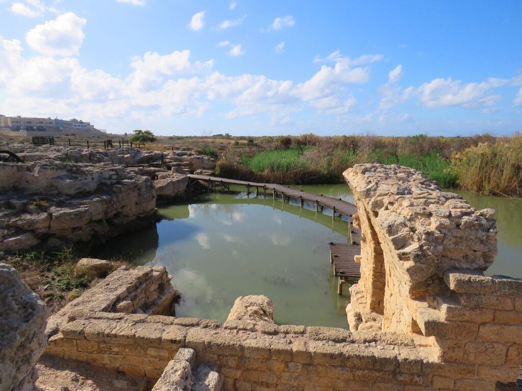 שמורת טבע נחל תנינים