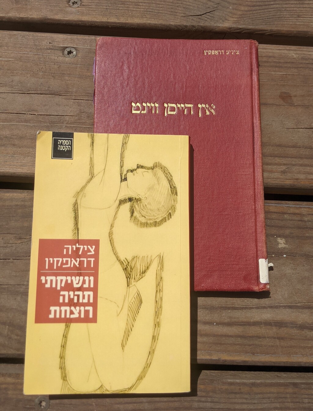 האנתולוגיה ״משוררות יידיש״ מ-1928, שכוללת שירים של יותר משבעים משוררות יידיש (צילום: אוסף פרטי) האנתולוגיה ״משוררות יידיש״ מ-1928, שכוללת שירים של יותר משבעים משוררות יידיש