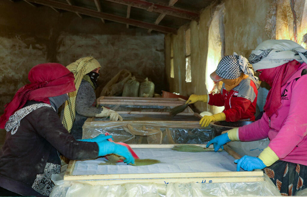 Women sift dried cannabis to prepare hashish in eastern Lebanon's Bekaa Valley, on March 6, 2021