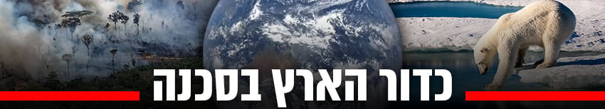 צילום: AP, EPA
