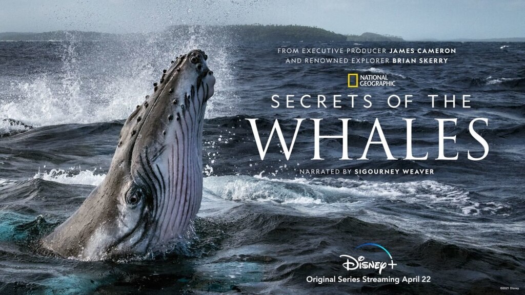 מתוך הסרט (צילום: +National Geographic for Disney) מתוך הסרט
