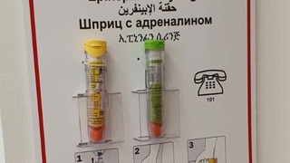 מזרקי האפיפן בגן