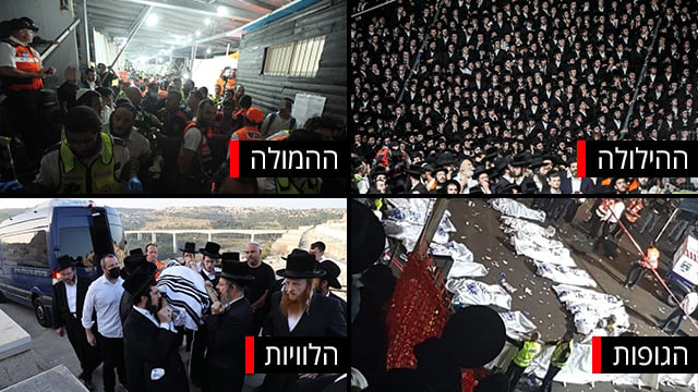 צילום: AFP, אלכס קולומויסקי, שמוליק הרשקוף