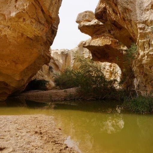 עין ירקעם בהר הנגב (צילום: צביקה בורג) עין ירקעם בהר הנגב
