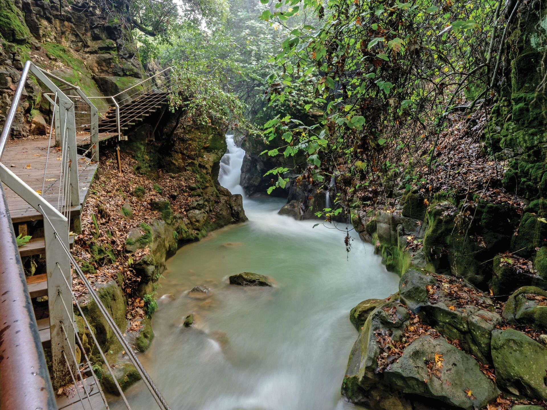 השביל התלוי בבניאס (צילום: Shutterstock) השביל התלוי בבניאס
