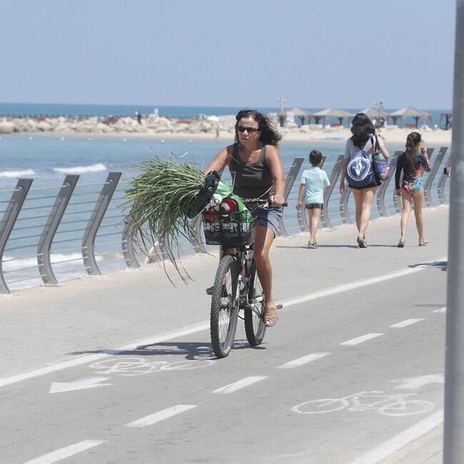 הפעולה הרגילה. שלי יחימוביץ' (צילום: מוטי לבטון) הפעולה הרגילה. שלי יחימוביץ'