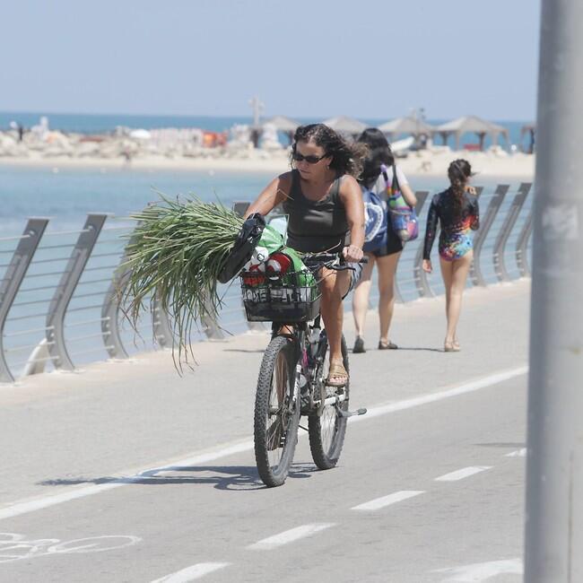 נראית מותשת (צילום: מוטי לבטון) נראית מותשת