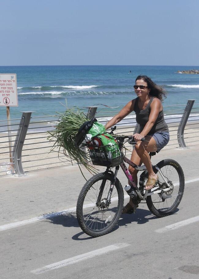 עונה של פריחה (צילום: מוטי לבטון) עונה של פריחה