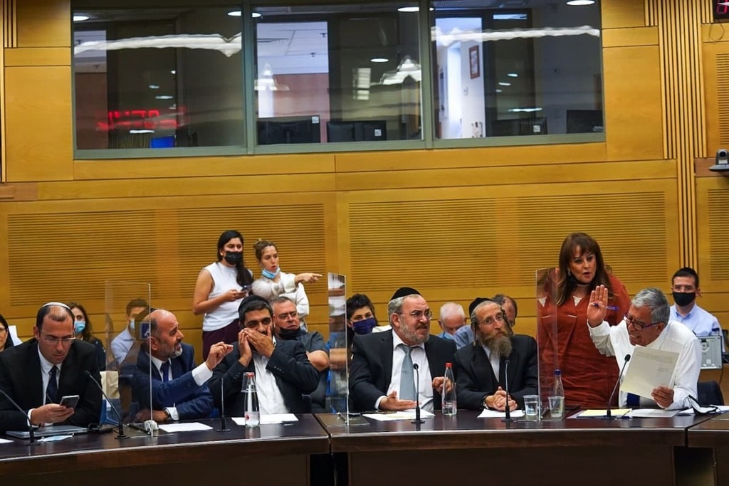 מהומה בדיון (צילום: נועם מושקוביץ, דוברות הכנסת) הוועדה המסדרת