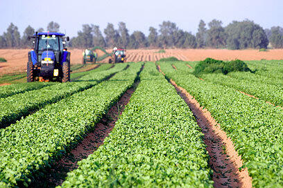 Farming in southern Israel (Photo: Eliad Levy) Farming in southern Israel