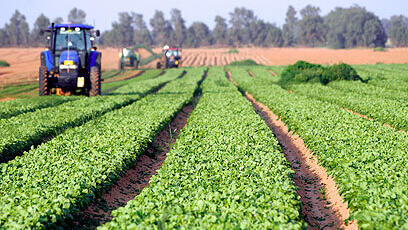 Farming in southern Israel 