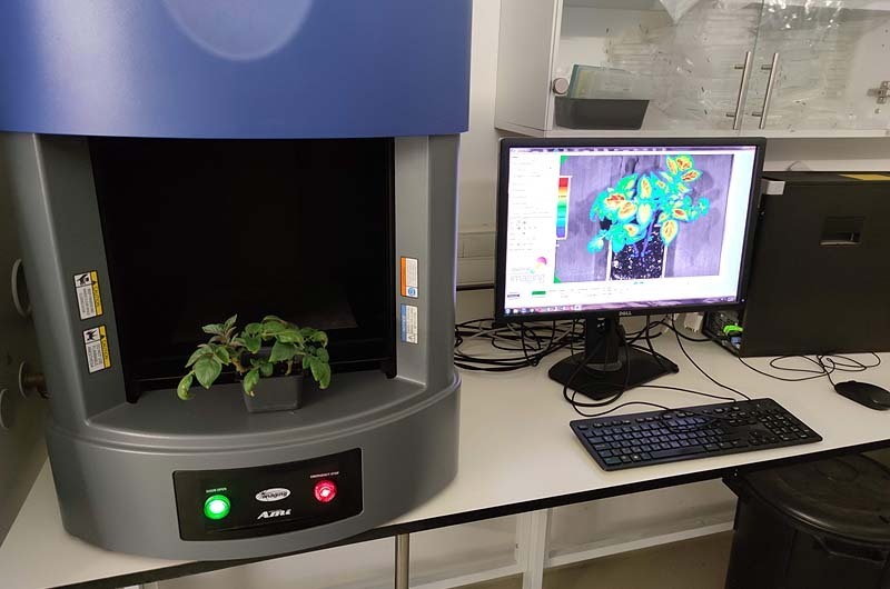 Hebrew University's bio-sensor detects early signs of plant stress and prevent crop failures from worldwide climate changes (Photo: Courtesy) Hebrew U's bio-sensor that detects early signs of plant stress and prevent crop failures from worldwide climate changes