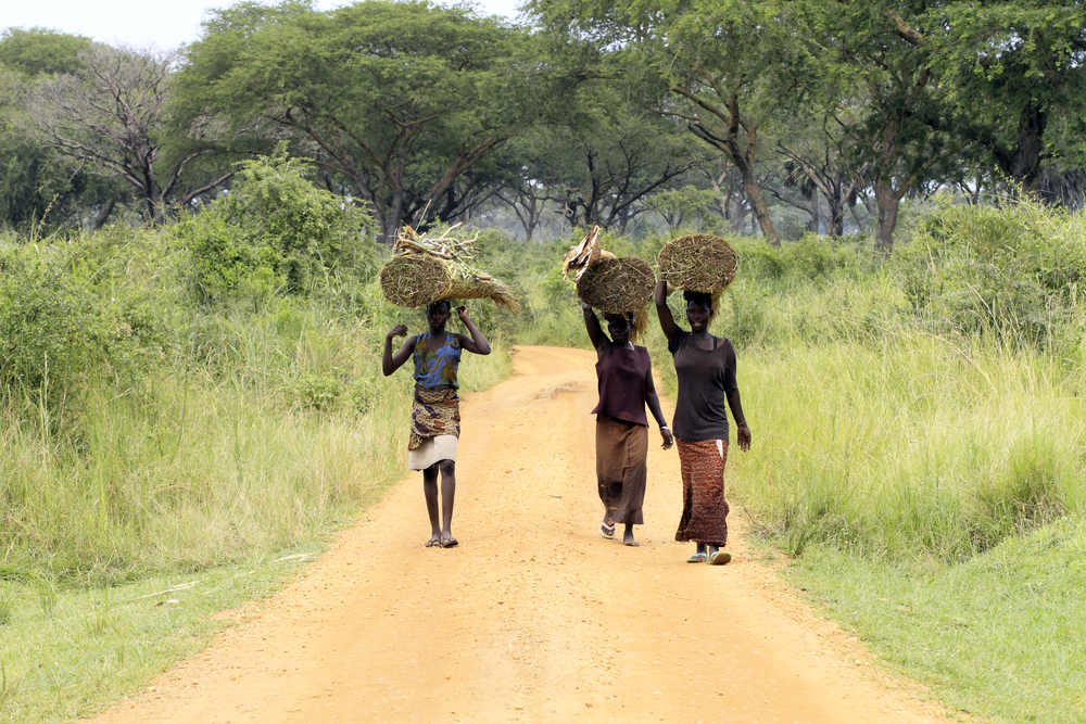 צידי הדרכים באוגנדה. 