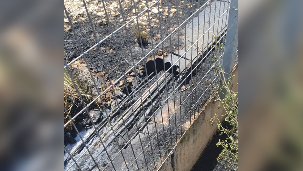 הנזק מהשריפה סמוך למסילה באזור גנות שריפה בסמוך למסילה באזור גנות