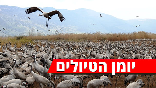 טיול לחודש חשוון