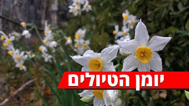 טיול לחודש טבת