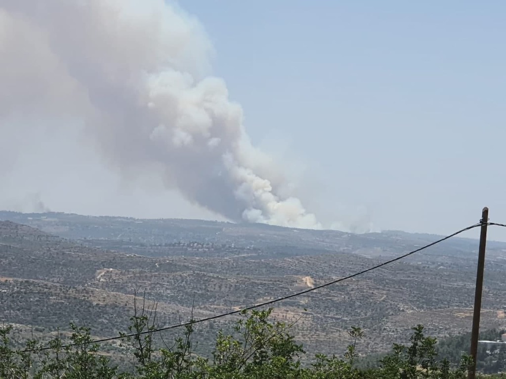 השריפה מול נווה אילן