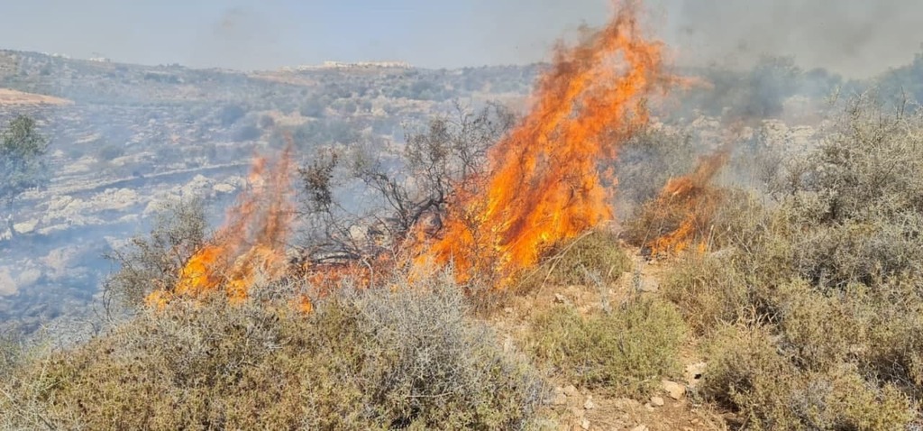 חשד להצתות באריאל