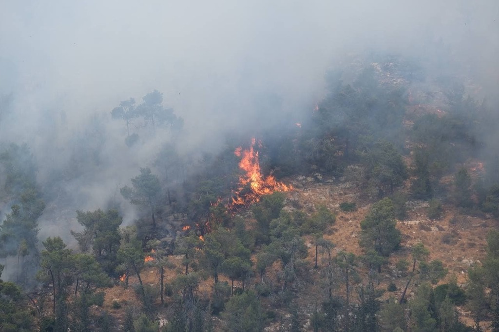 Forest fires near Neve Ilan (Photo: Yoav Dudkevitch) השריפה בהרי ירושלים
