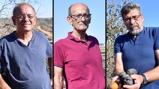 עופר ליברמן בני חסון ודניאל רחמים