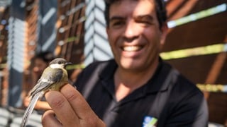 צפר קק"ל ירון צ'רקה יחד עם ירגזי