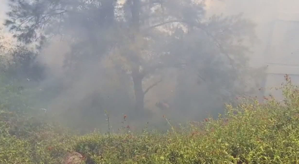 השריפה מתפשטת בשכונת נווה שאנן (צילום: דוברות כבאות והצלה מחוז חוף) שריפה מתפשטת ברחוב גדליה בחיפה