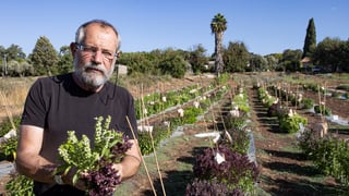 צילום: גיל נחושתן