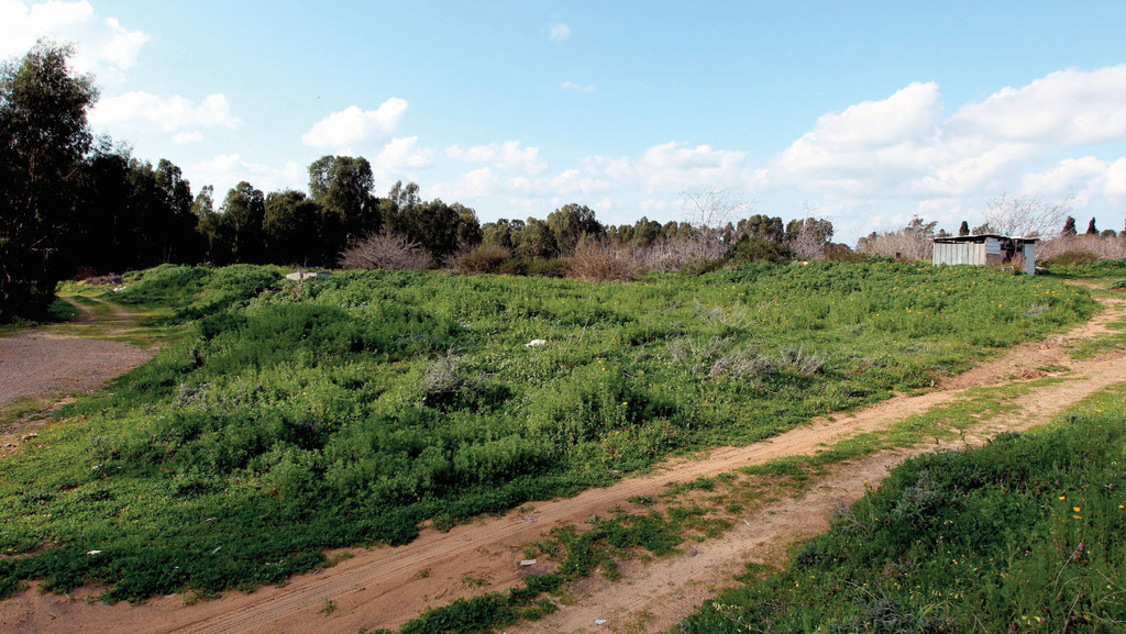 קרקע להשקעה למזל תפקיד חשוב ביותר 