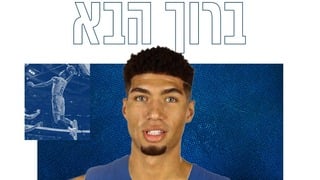 סנדי כהן