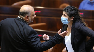 מליאת הכנסת