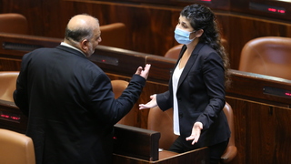 מליאת הכנסת