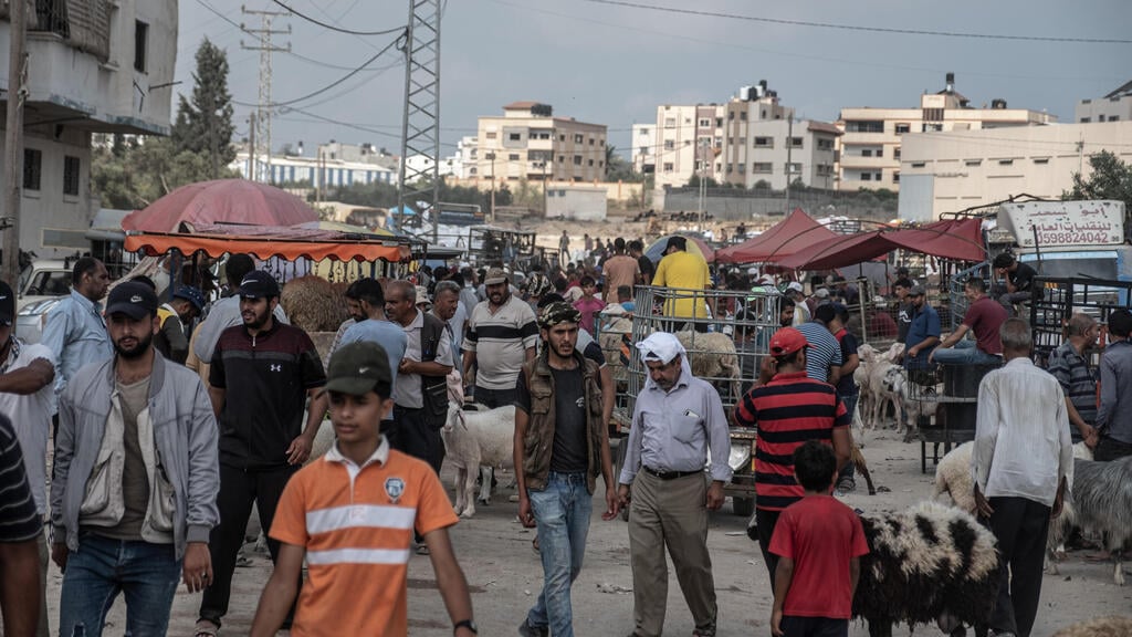 Vendors wait for customers as people look to buy sheep at a livestock market in preparation for the upcoming Muslim Eid al-Adha holiday on July 16, 2021 in Gaza City 