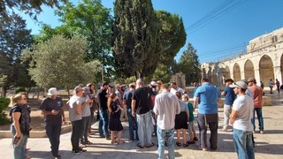  יהודים עולים להר הבית