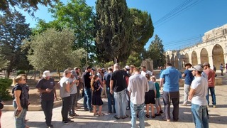  יהודים עולים להר הבית
