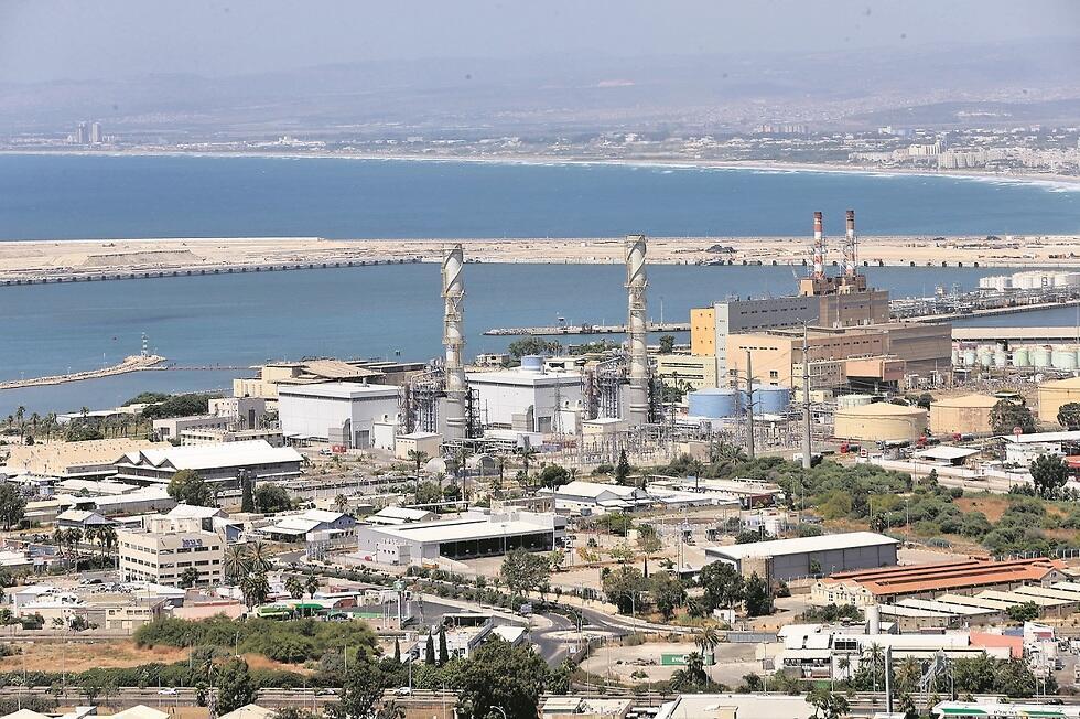 ''כל מקום שמרימים אבן, מוצאים בלגן''. מפרץ חיפה (צילום: אלעד גרשגורן) ''כל מקום שמרימים אבן, מוצאים בלגן''. מפרץ חיפה
