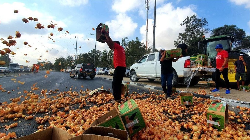 משליכים תוצרת על הכביש. החקלאים מפגינים (צילום: רועי עידן) החקלאים מפגינים