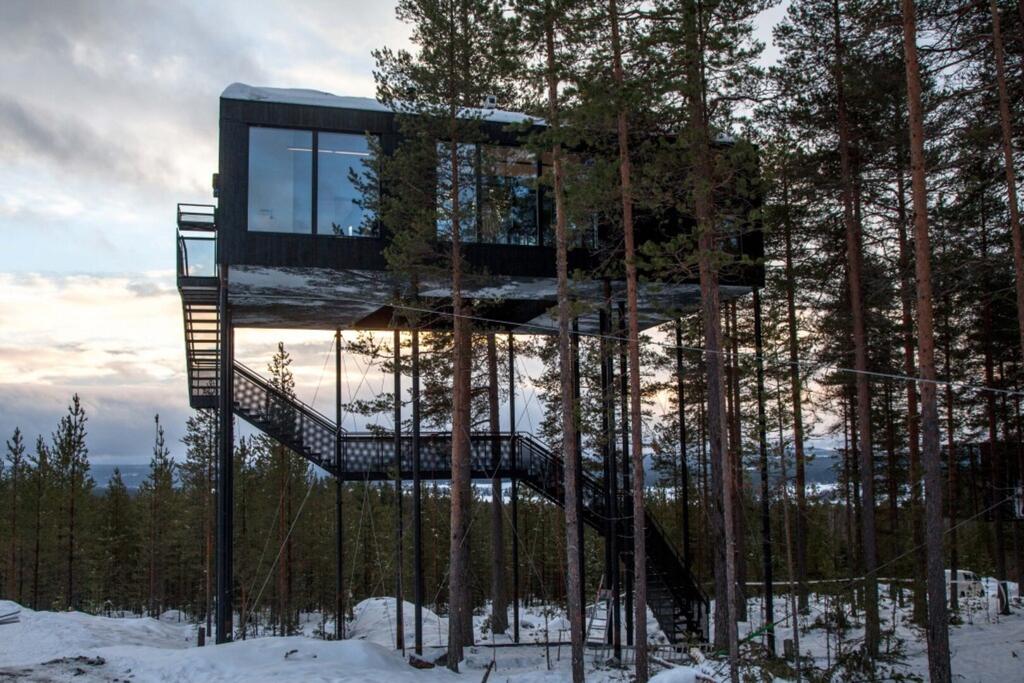 הבקתה של Snøhetta ב-Treehotel (צילום מאתר snohetta.com) בקתה שבדיה