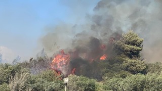אזור השריפה סמוך לבית אל