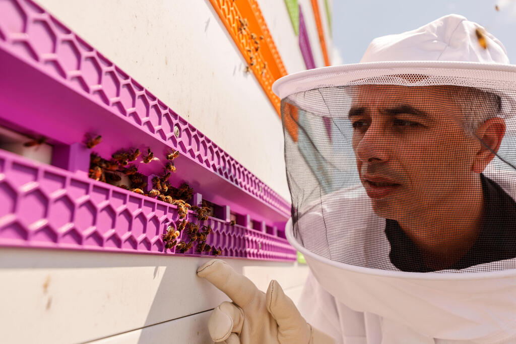 CEO Saar Safra looks at a robotic beehive developed by the Israeli startup company Beewise in Beit Haemek