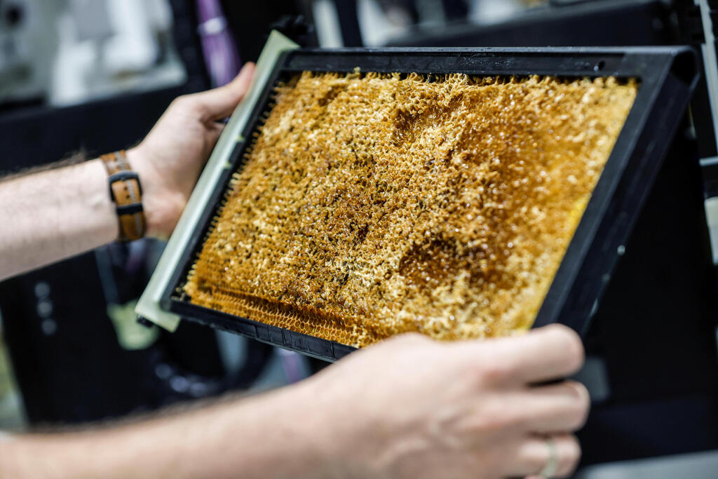 a honeycomb, a part of a robotic beehive developed by Israeli startup Beewise, in Beit Haemek,