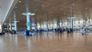  נוסעים לחו"ל מגיבים לשינויים בהגדרות הבידוד